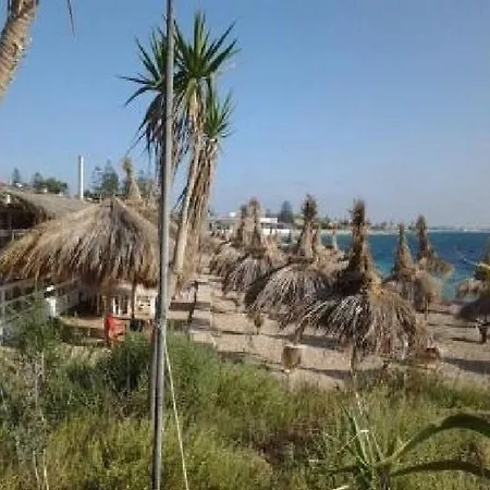 Dei Fenici * Marsala